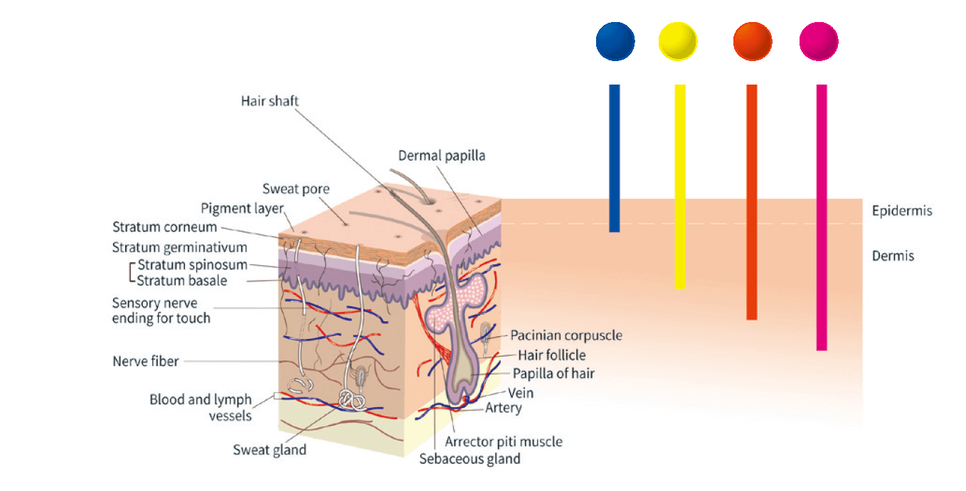 silvery-blue-womens-health-clinic-led_skin-2